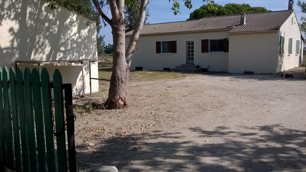 Le Haras De Gimeaux Arles